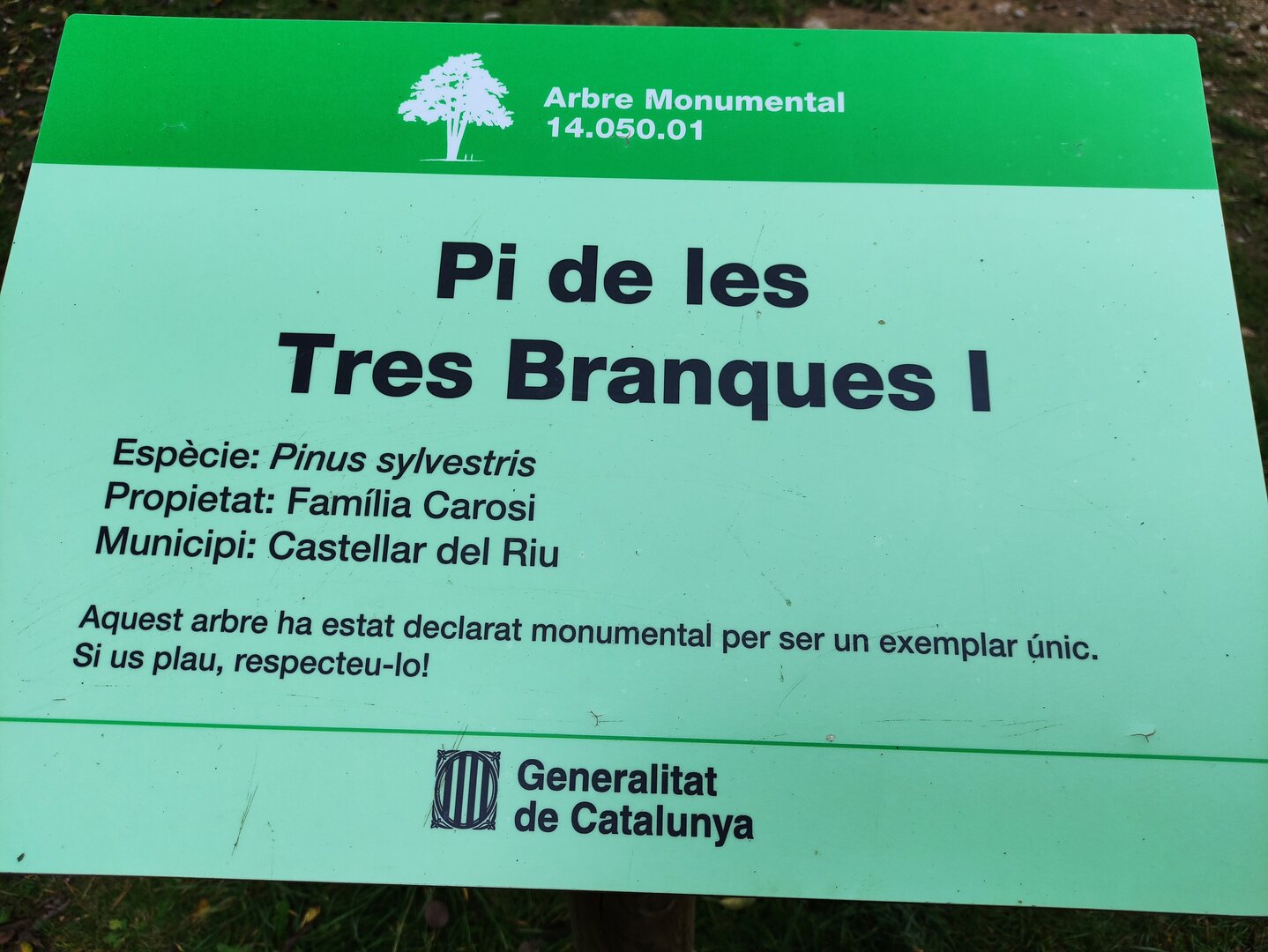 Imatge representativa de la sortida