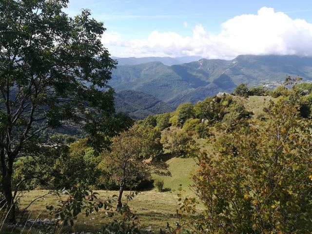 Imatge representativa de la sortida