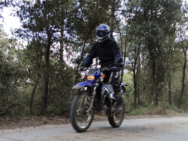 Imatge representativa de la sortida