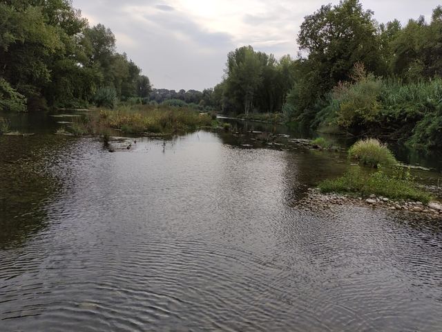 Imatge representativa de la sortida