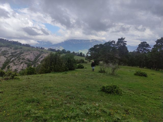 Imatge representativa de la sortida