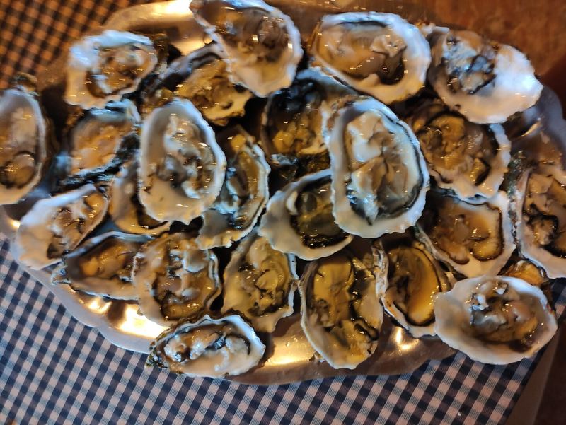 Sortida a Paella Delta